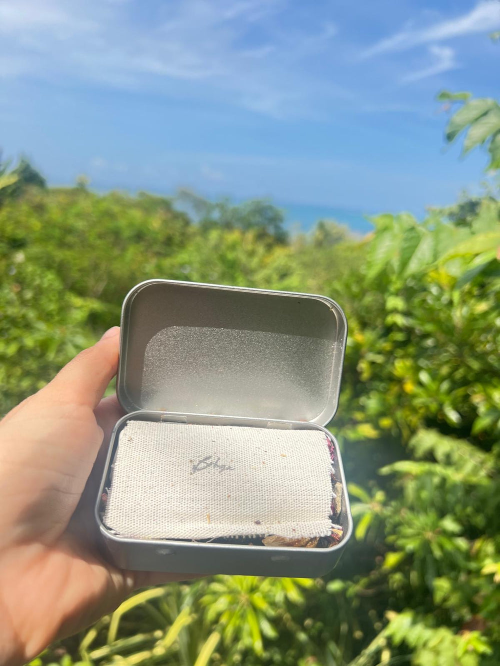 <h2>experiencias reales </h2>